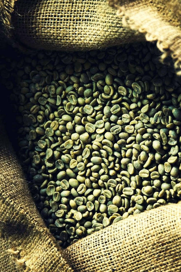 Green Coffee Supply